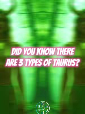 The cover image has a blurred green background with two vertical light columns. Overlaid on top is the text: 'DID YOU KNOW THERE ARE 3 TYPES OF TAURUS?' in a wavy neon style, with a zodiac symbol graphic at the bottom.