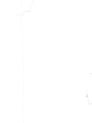The cover image appears to be completely white, lacking any discernible visual elements. It is a blank, minimalist image.