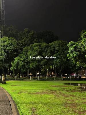 An image taken at night with a park scene. The foreground shows a green, grassy area. Behind the grass, there are trees with lush green foliage in the middle ground. The background is a dark sky indicating nighttime, with some lights faintly visible in the distance between the trees. The text overlayed on the image reads "kau adalah darahku."