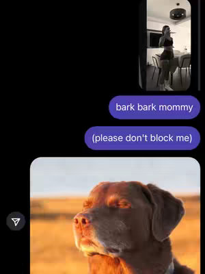 The cover image consists of a screenshot of a text conversation overlayed on a black background. Two message bubbles are visible, one containing the text 'bark bark mommy' and the other '(please don't block me)'. Below the text bubbles, an image of a dog with brown fur is present with golden, blurred background The lower right corner of the image shows a small instagram icon.