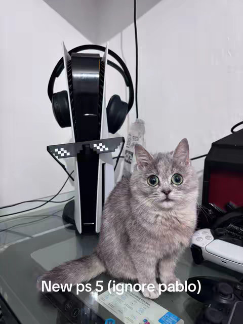 A gray cat with large eyes sits on a glass table in front of a PlayStation 5 console. The console has pixelated sunglasses on top. The text overlay reads: New ps 5 (ignore pablo).