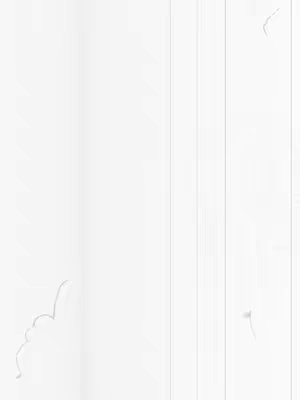 The cover image features a minimalist design with vertical white lines creating a textured background. There are slight variations in the lines' appearance and some irregularly shaped marks. The overall composition is simple with a predominantly white color palette.