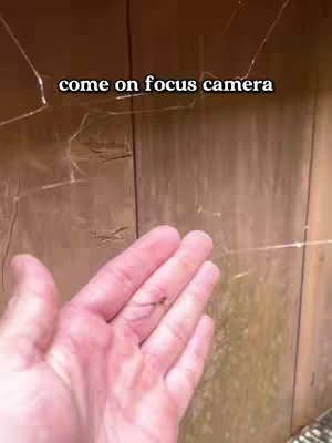A hand holding a spider towards the camera. The background shows wood and a section of spider web across a cracked surface.