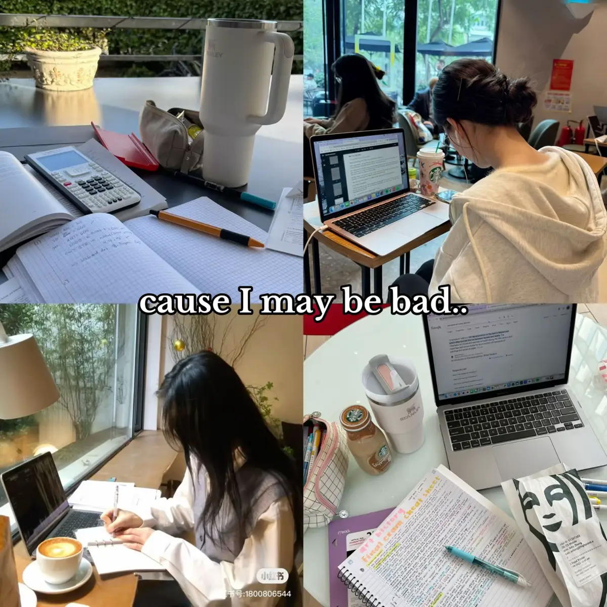 A montage of four different study scenes. The top left shows a desk with an open notebook with handwritten notes, a calculator, and a water bottle. The top right shows a person working on their laptop in a cafe. The bottom left shows someone writing in a notebook at a cafe table with a cup of coffee. The bottom right shows study notes, a laptop, and a water bottle.
