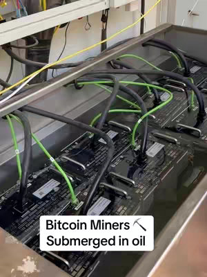 The image shows a setup for bitcoin mining. It features several circuit boards submerged in a liquid inside a metal container. The environment is lit with overhead lights reflecting off the surface of the liquid, with the circuit boards and green and black wires.
