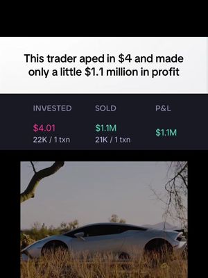 The image shows a silver sports car parked in tall, dry grass or brush under a slightly cloudy sky. Above the car, text overlays highlight financial data, in a color-coded style. The overlay at the top describes the trader's financial situation. The scene is set outdoors, with a visual focus on the car and the financial context.