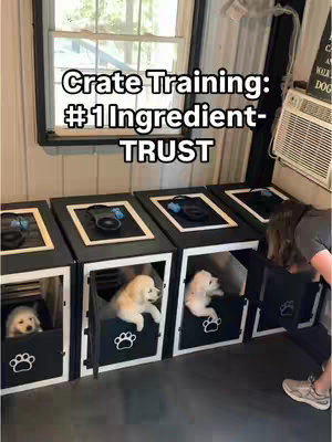 The image shows Golden Retriever puppies in individual crates. The crates are black and white with paw print designs on the front. A hand is reaching towards one of the crates. Above the crates over-laid text that says 'Crate Training: #1 Ingredient-TRUST'.