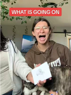 The cover image features a young woman with glasses, an open mouth, and braces, appearing to be yelling. There's a text overlay that says \"WHAT IS GOING ON\". She holds a white rectangular object in her hand, and part of another person in a white jacket can be seen on the left edge. Behind her is a pet with a mix of black and grey fur. The background shows an interior with decor.