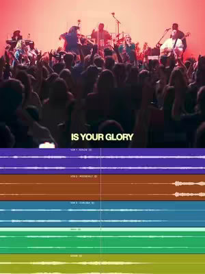The image shows a live music performance with a band on stage. The audience is visible with their arms raised. Below, audio waveforms are displayed.