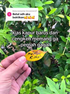 A hand holds a leaf with handwritten text against a background of green foliage. The leaf is yellow and has visible text. The background is a mix of green leaves and branches.