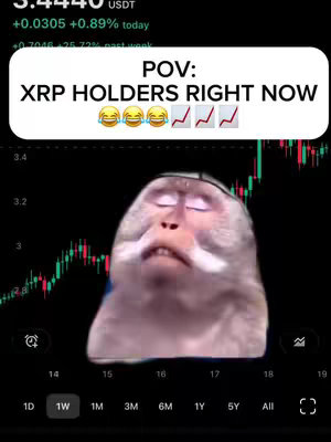 The cover image features a humorous meme overlaid on a chart of financial data. It shows a digital graphic of a monkey’s face with its eyes closed, possibly in a comedic expression of bliss. The background is a chart depicting gains on the cryptocurrency XRP. Overlaid at the top is a text box with the phrase 'POV: XRP HOLDERS RIGHT NOW' with laughing emojis and upward trending graphs.
