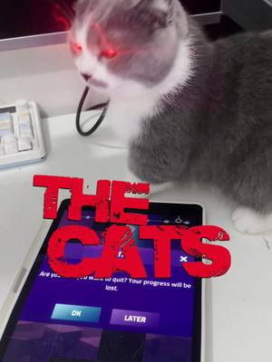 A close-up photo of a cat with glowing red eyes looking at a tablet. The text overlay 'THE CATS' is in bold red letters. The tablet's screen shows the words on the ok and later buttons.