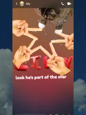 The cover image shows a stylized representation of a star formed by hands intersecting and pointing towards a cat's head. The hands are forming the points of the star, and the cat's head is nestled where the points would intersect. The word "LILLY" is written in bold, red, 3D letters at the bottom. Additional text reads, "look he's part of the star". The background gradient transitions from a deep burgundy at the bottom to a lighter, warmer shade towards the top, reminiscent of a social media story or chat interface.