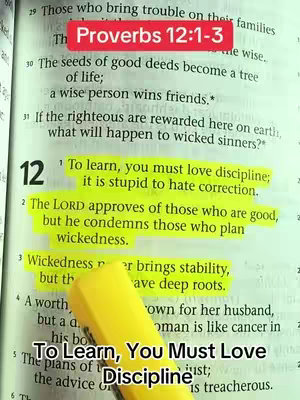 An open bible with a highlighted passage emphasizing the importance of loving discipline for learning. A yellow highlighter points to the highlighted text, and the overlay hook text is present. The image is brightly lit with a slightly angled view. The overall composition is clean and focused.