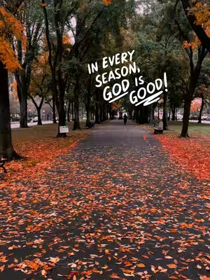A photograph captures a pathway through a park during autumn. The scene is dominated by the bright oranges and reds of fallen leaves covering the ground, contrasting with the dark asphalt of the path. Tall trees line either side of the path, their branches meeting overhead to create a tunnel effect. The trees have mostly shed their leaves, with some remaining, displaying hues of green and yellow. In the distance, a figure can be seen walking down the path. Overlayed on the photograph is white text in a playful font, with the message 'IN EVERY SEASON, GOD IS GOOD!'