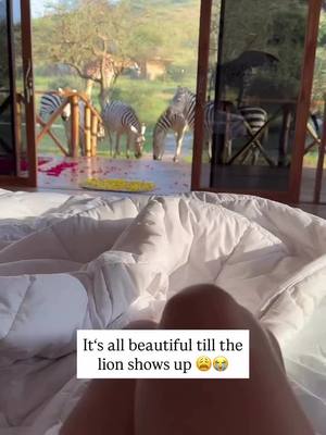 The cover image shows a view from inside a safari lodge with the camera pointed towards the outside. The foreground inside shows a bed with white bedding. Through a window, zebras are grazing in the grass and a few building are visible. A text overlay is at the bottom.