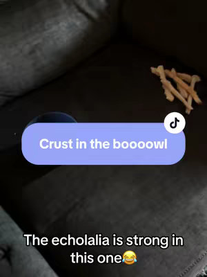 The cover image shows a dark gray couch with a blue bowl and some bread crusts. There is text overlayed on the image.
