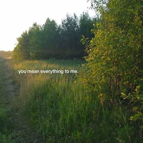 A landscape image featuring a path leading through a field of tall grass towards a tree line. The sky is subtly lit, suggesting dawn or dusk. Overlayed on the image is the text "you mean everything to me."