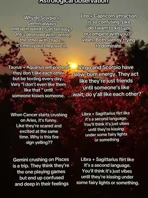 The cover image is a background with a gradient of warm red and orange tones. It features a grid layout with boxes of text, each detailing astrological observations about different zodiac sign pairings. The text is white against the color gradient background and uses a sans-serif font.