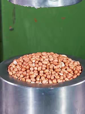 The image shows a close-up of a large pile of shelled peanuts inside a metallic container. The peanuts are light brown and evenly distributed, filling the container. Above the peanuts, there is part of a metallic structure and a solid green background. The shot is well-lit, highlighting the texture and color of the peanuts.