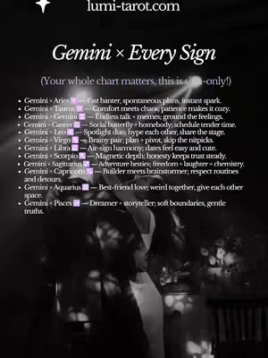 The image is a monochrome graphic, likely designed as a title card or a key visual for a video. At the top, it reads "Gemini x Every Sign" in a stylized, slightly whimsical font, above a website address. Below the title lies a list format designed under a sans-serif font: a bulleted list detailing the compatibility between Gemini and various zodiac signs, providing brief descriptions for each pairing.