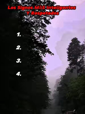 An image showcasing a path through a forest with mist, creating a mysterious atmosphere. The top has white text on a red background. Numbers 1-4 are listed in white, with numbered dots beside them.