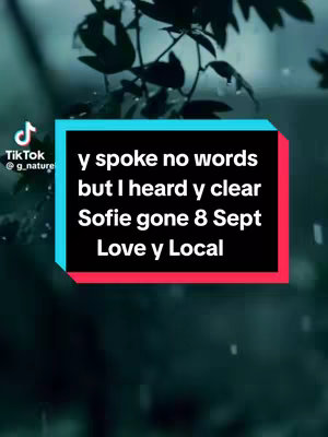 The cover image uses a vertical rectangular layout. In the background, there is a blurred scene with dark green foliage and hints of water droplets, suggesting an outdoor setting, potentially in the rain. Centered on the frame is a rectangular text block that combines cyan, black, and red colors, which contains white text. The TikTok logo is prominently in the top-left corner with the user's handle below it.