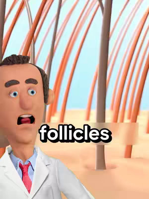 A 3D-animated image with a light blue background. In the foreground, a fair-skinned, cartoonish man in a white lab coat and red necktie displays a shocked facial expression, his mouth open. The man's hair is dark and neatly styled. Behind him, a close-up view shows multiple orange and brown hair follicles, with the word "follicles" in a white, bold font overlayed on this image. The overall composition highlights a medical or educational theme, perhaps related to hair care or health.
