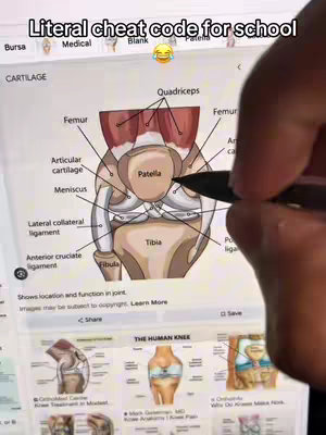 The image shows a close-up of a tablet screen displaying a detailed anatomical illustration of the human knee. Text overlays state "Literal cheat code for school" and a laughing emoji is present. The image includes labels of anatomical parts, making it a reference diagram or studying aid.