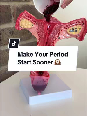 An image showing a model of a female reproductive system with a white background. A cup is held above to pour in liquid. A text overlay at the bottom says 'Make Your Period Start Sooner'.