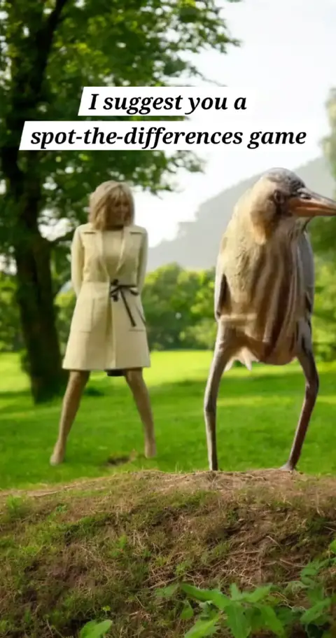 The image shows a woman standing on the left side, resembling Brigitte Macron, and a bird-like creature on the right. The background is a lush green landscape with trees and a hill in the foreground. Text is overlaid, inviting the viewer to play a spot-the-differences game.