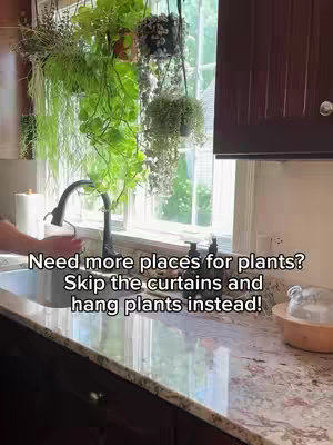 The image shows a kitchen scene with a white window in the background, filled with various hanging plants. The foreground features a countertop with a sink, a faucet, and some kitchen items. Text overlay suggests an alternative to curtains for hanging plants.