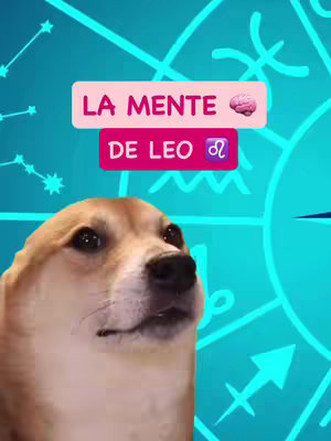 The cover image features a light brown dog, mimicking the 'doge' meme, set against a teal background adorned with white constellation lines and shapes. Two text blocks overlay the dog: the top one reads 'LA MENTE' in white against a pink rectangle, with a brain emoji beside it. The bottom text block, reading 'DE LEO', is also in white letters on a pink rectangle, with the Leo zodiac symbol (♌) next to it.