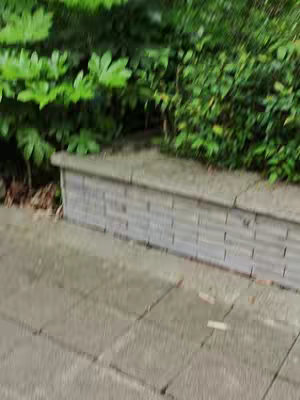 A slightly blurred outdoor shot of a stone pavement with a low brick wall on the right, and a lot of green vegetation at the top