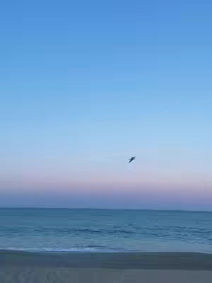 A serene landscape photograph featuring a vast expanse of blue sky transitioning to a pastel gradient of pink and purple near the horizon. Below, the ocean meets a sandy beach, with slight waves visible. A lone bird flies across the sky, adding a sense of tranquility and openness.