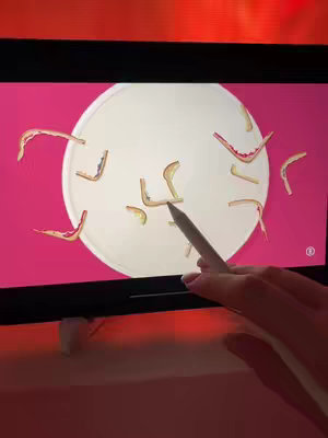 The image shows a device screen displaying a game interface with a white circular background against a pink background. Within the white circle, several curved shapes are scattered, seemingly meant to be arranged. A hand holds a stylus, pointing at one of the shapes. The screen, is framed by parts of the device's bezel and has a red light coming from the top.