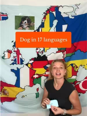 The cover image features a woman in front of a map of Europe, with a banner overlay that reads 'Dog in 17 languages'. A small picture of a puppy is positioned in the top left corner. The woman is holding a paper with a word written on it.