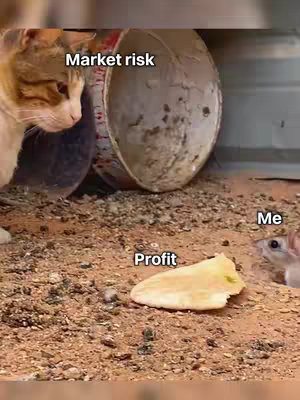 A meme-style image with a cat facing left, a mouse to the right, and a piece of food in the center. Text overlays label each element.