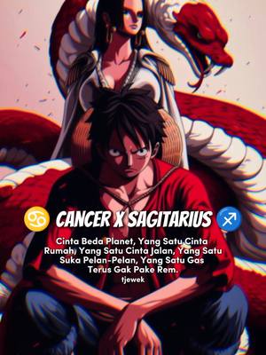 The image features a vibrant anime-style artwork. The foreground showcases a male anime character with black hair in a red shirt and blue jeans, giving an intense gaze. Positioned behind and above is a female anime character in a white outfit. A large red snake-like form arches over them, creating a dramatic backdrop. The text overlayed says "CANCER X SAGITTARIUS", along with descriptions of the zodiac signs compatibility. The layout is vertically oriented with a mix of red, white, and black.