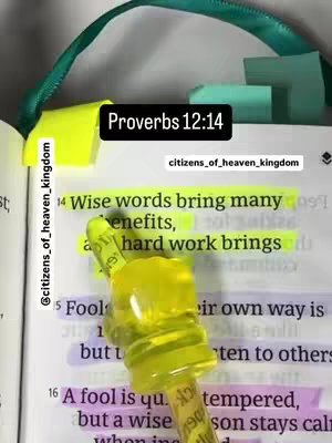 The cover image shows an open book with highlighted text, a green ribbon bookmark, and a yellow highlighter. A black box with the text "Proverbs 12:14" is at the top. The text on the page is partially visible and highlighted. The image is shot from an overhead angle.