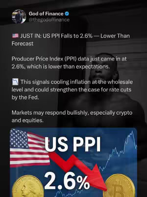 The image showcases a split-screen design. On the top, a close-up of a man's bare upper body is partially visible, creating a blurry background. Below this, a blue and white graphic displays "US PPI" above the number "2.6%", with a red arrow pointing downwards and a gold coin on either side. The American flag is in the background.