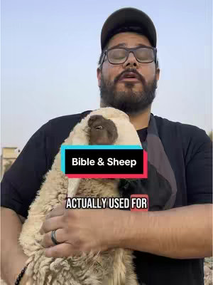 A man in a black shirt and cap, holding a fluffy sheep against a light background. The man wears glasses and a beard. A text overlay reads 'Bible & Sheep' with the text 'ACTUALLY USED FOR' below it.
