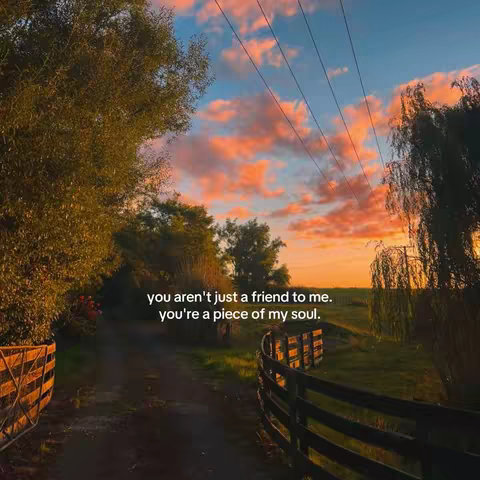 A photo of a road leading through the countryside at sunset. The sky is filled with orange and pink clouds, with the sun setting behind trees. A wooden fence and lush green grass borders the path. Text overlayed reads "you aren't just a friend to me. you're a piece of my soul."
