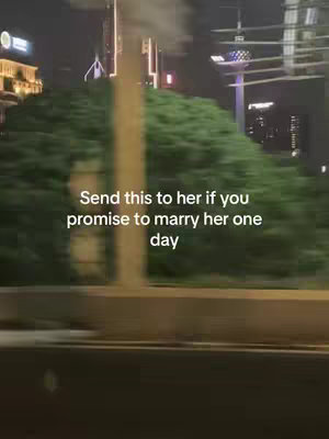 The cover image captures a nighttime cityscape viewed through a window, likely from a moving vehicle. The scene is dominated by dark colors, with ambient streetlights and building illuminations dotting the backdrop. A dense green shrubbery is partially obscuring the lower part of the view. Text is overlaid on the image.