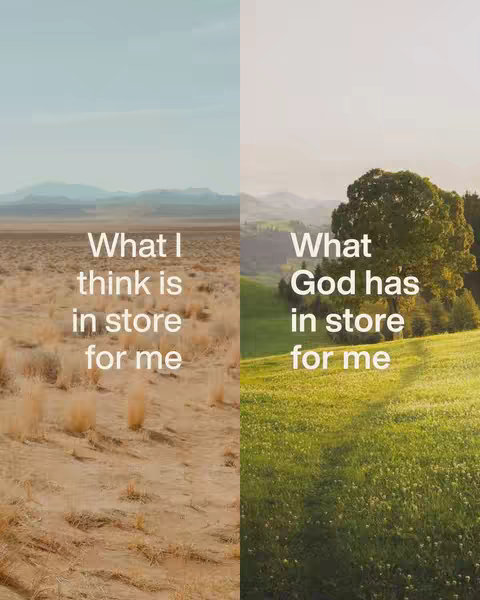 The image is split vertically. On the left, a desert scene with dry, tan soil and a pale blue sky. On the right, a lush green field with a large tree and a sky with warm colors.