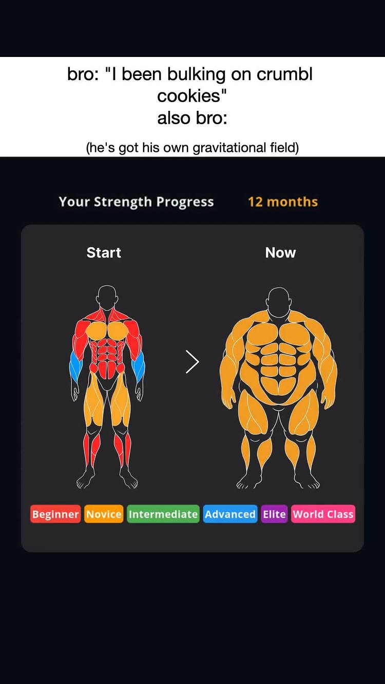 The image shows a before-and-after comparison of a body, presented as an app interface with a black background. On the left, the body is muscular with red, blue, and yellow sections labeled 'Start.' On the right, the body is significantly larger and yellow with the label 'Now'. Text overlays show humorous remarks about bulking up. Below are color-coded labels from 'Beginner' to 'World Class', suggesting a strength progression.