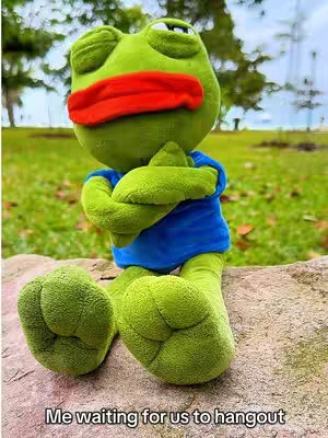 A photo of a plush frog toy sitting outdoors on a stone or rock. The frog has a green body, a red mouth, and is wearing a blue shirt, with arms crossed. The background is blurred but appears to be a park or grassy area. The text overlay says, "Me waiting for us to hangout."
