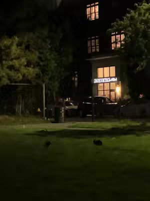 A nighttime street scene with a multi-story building illuminated by warm light, a parked car and a tree on a lawn in the foreground. The scene has a dark and muted color palette. There are streetlights and windows lit up, adding to the nocturnal ambience.