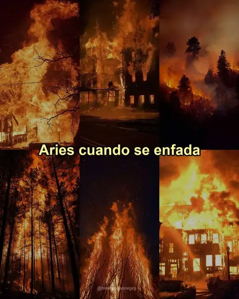 The image is a collage of six panels depicting scenes of fire and destruction. The panels show burning buildings, forests engulfed in flames, and bonfires. The color palette is dominated by shades of red, orange, and black, conveying a sense of chaos and intensity. In the center, the text overlay reads 'Aries cuando se enfada' (Aries when angry), written in a bold, white font.