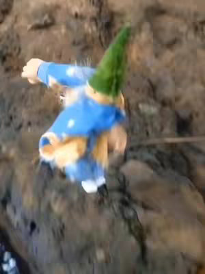The cover image shows a gnome figurine dancing in a forest setting. The gnome is wearing a blue outfit with white stars and a green hat. The background consists of brown rocky surfaces and blurred vegetation, creating a sense of movement and depth.